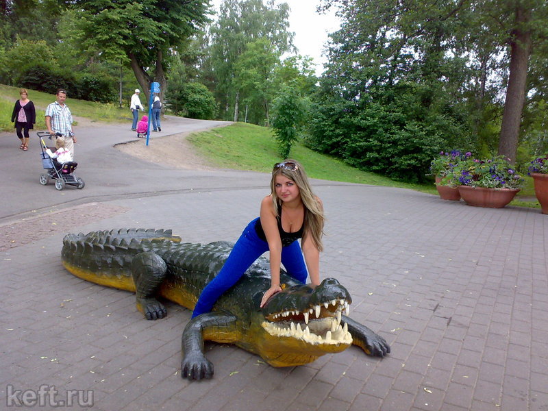   (Stervozka) 