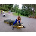 Stervozka: 